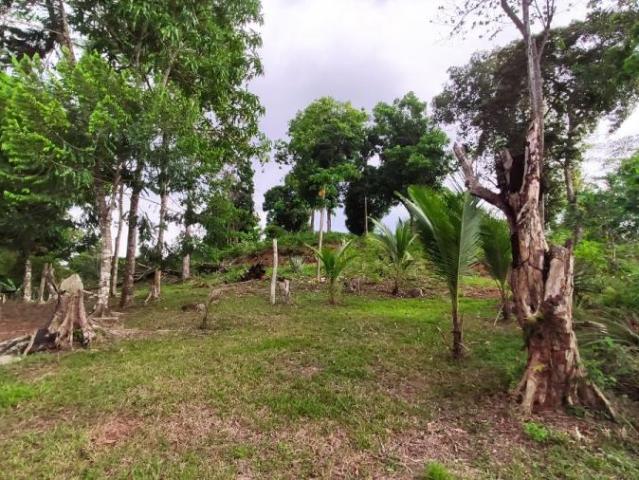 Terreno venta en Arraiján