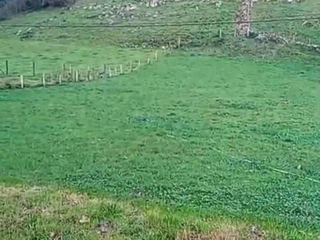 Terreno en venta en Arredondo, Cantabria