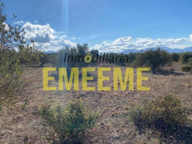 Terreno en venta en Serranía de Ronda, Andalucía