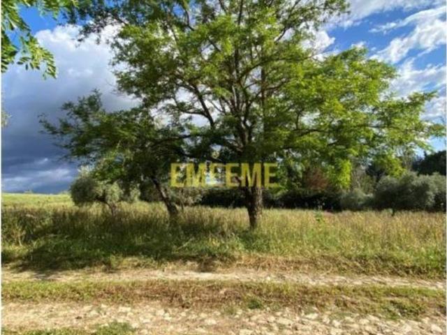 Terreno en venta en Serranía de Ronda, Andalucía