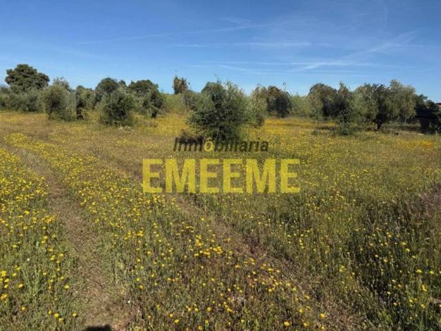 Terreno en venta en Serranía de Ronda, Andalucía