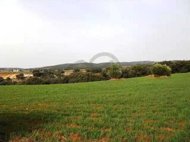 Terreno en venta en Serranía de Ronda, Andalucía