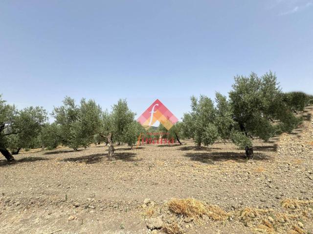 Terreno en venta en Serranía de Ronda, Andalucía