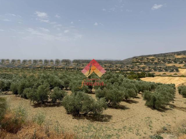 Terreno en venta en Serranía de Ronda, Andalucía