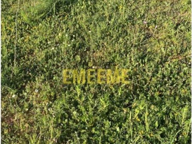 Terreno en venta en Serranía de Ronda, Andalucía