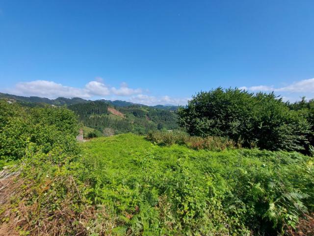Terreno en venta en Arrieta, Libao