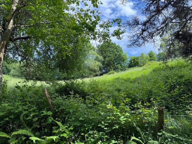 Terreno en venta en Arrieta, Guipúzcoa