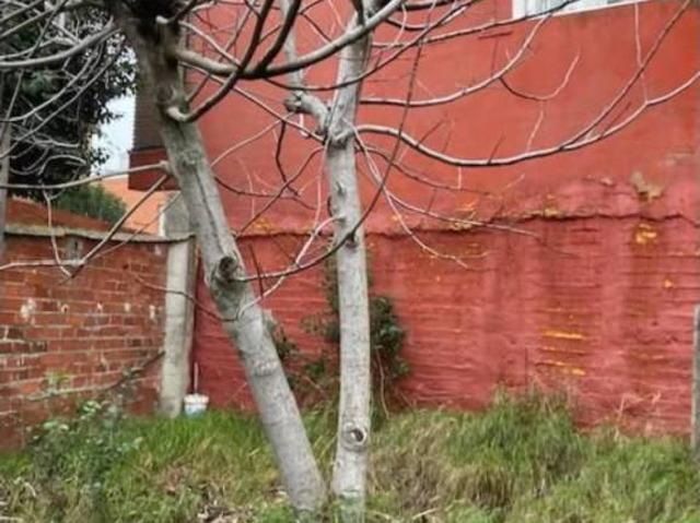 Terreno en venta en Arroyo De La Encomienda, Castilla y León