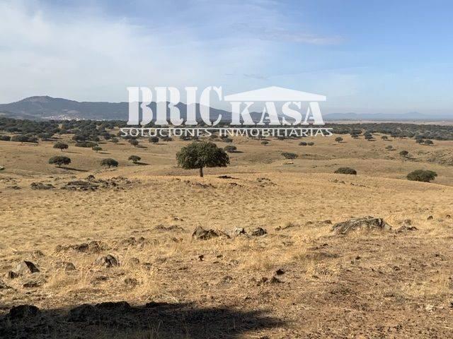 Terreno en venta en Arroyo De La Luz
