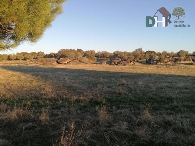 Terreno en venta en Arroyo De La Luz, Extremadura