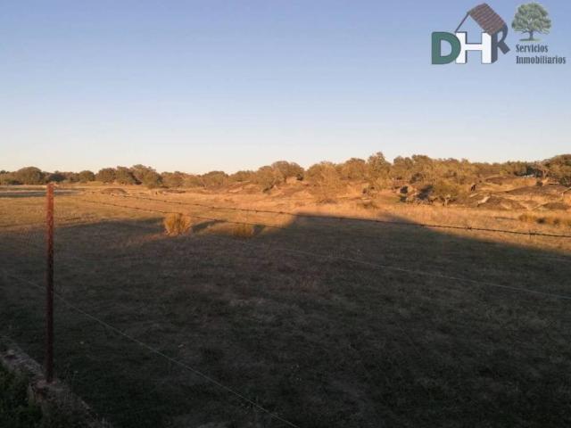Terreno en venta en Arroyo De La Luz, Extremadura