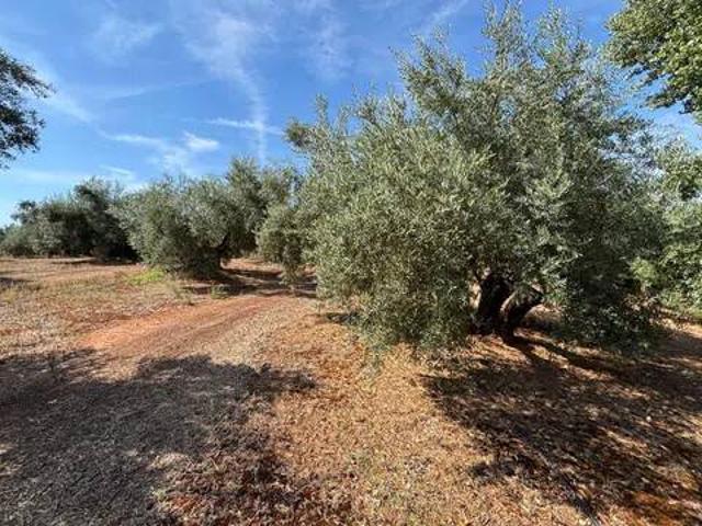 Terreno en venta en Centenares, Arroyo del Ojanco