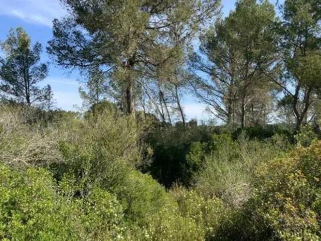 Terreno en venta en Colònia de Sant Pere, Llevant