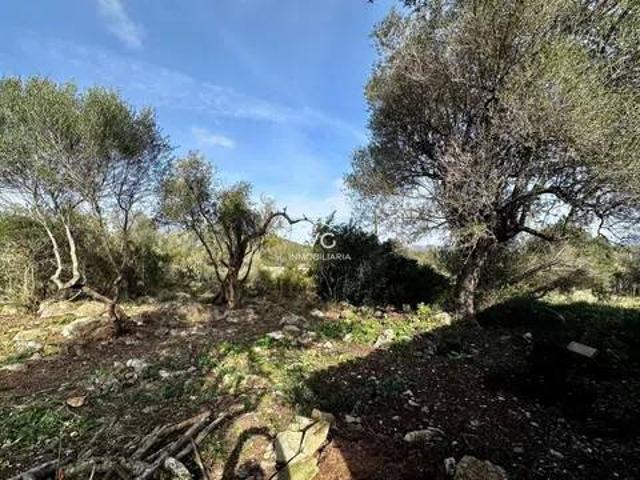 Terreno en venta en Betlem, Llevant