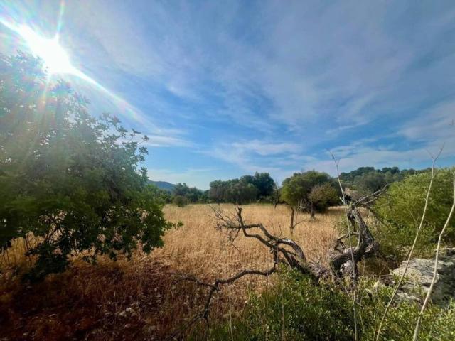 Terreno en venta en Llevant, Baleares