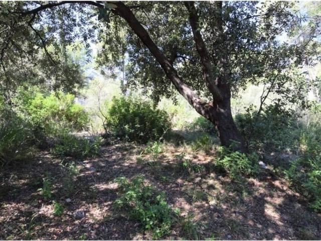 Terreno en venta en Llevant, Baleares