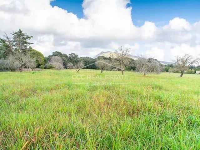 Terreno en venta en Betlem, Llevant