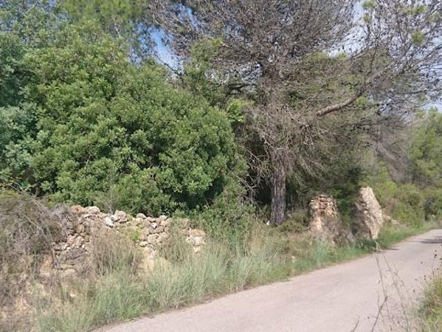 Terreno en venta en la Plana Baixa, Valencia