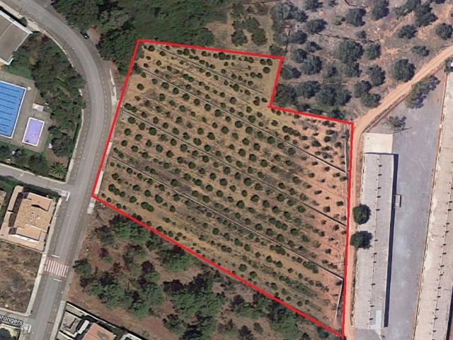 Terreno en venta en la Plana Baixa, Valencia