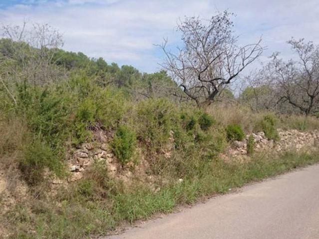 Terreno en venta en la Plana Baixa, Valencia