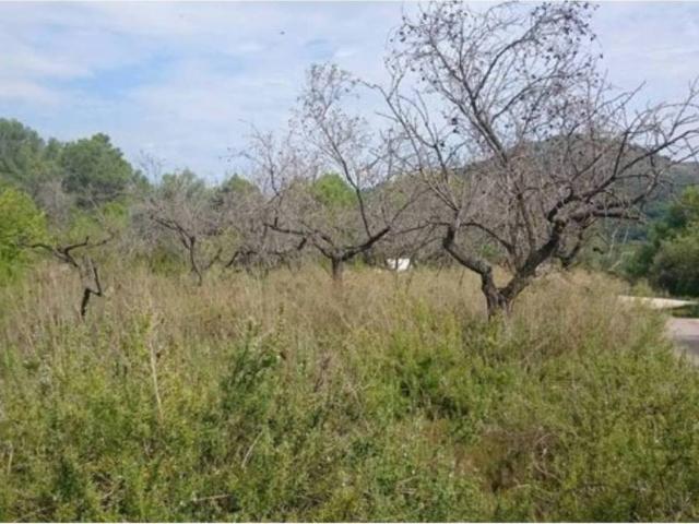 Terreno en venta en la Plana Baixa, Valencia