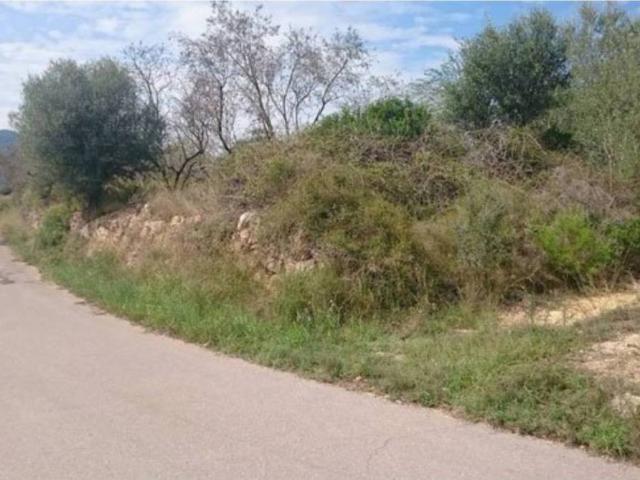 Terreno en venta en la Plana Baixa, Valencia