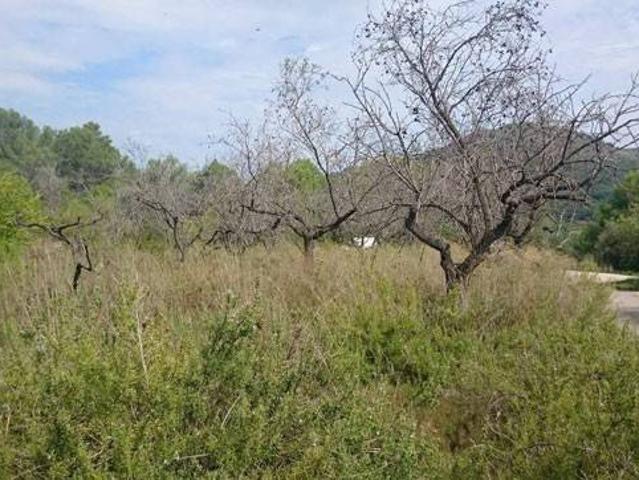 Terreno en venta en la Plana Baixa, Valencia