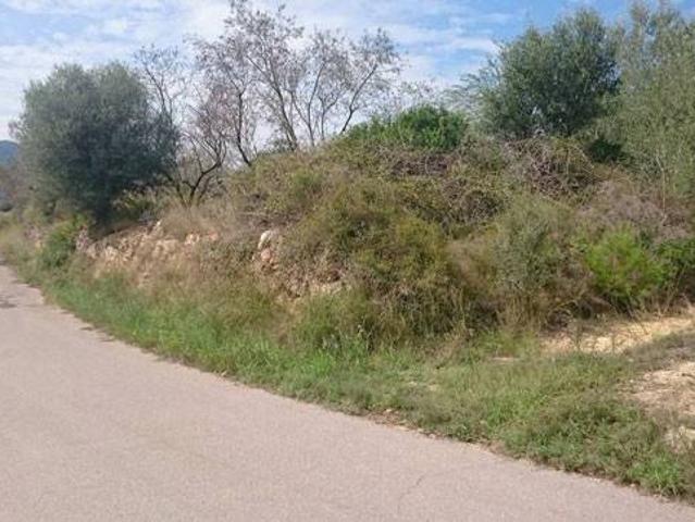 Terreno en venta en la Plana Baixa, Valencia