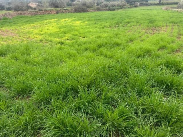 Terreno en venta en Bages, Catalunya