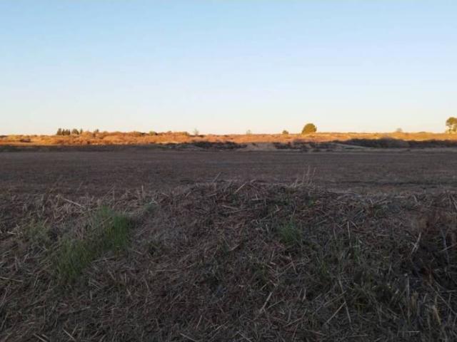Terreno en venta en Segrià, Catalunya