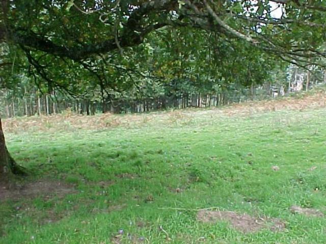 Terreno en venta en Artzentales, Guipúzcoa