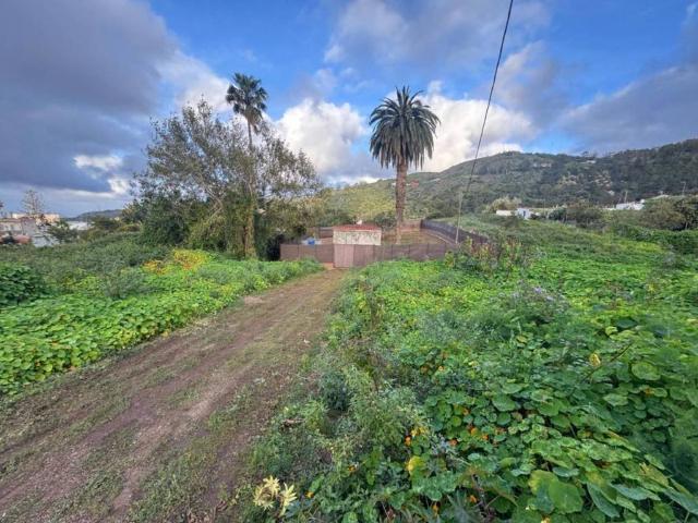 Terreno en venta en Arucas, Canarias