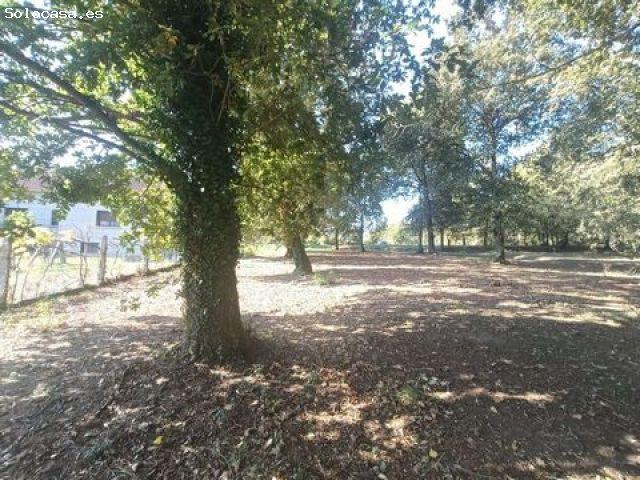 Local Comercial en venta en As Neves, O Condado