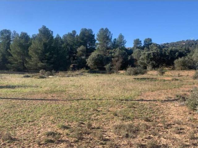 Terreno en venta en Ribera d'Ebre, Catalunya
