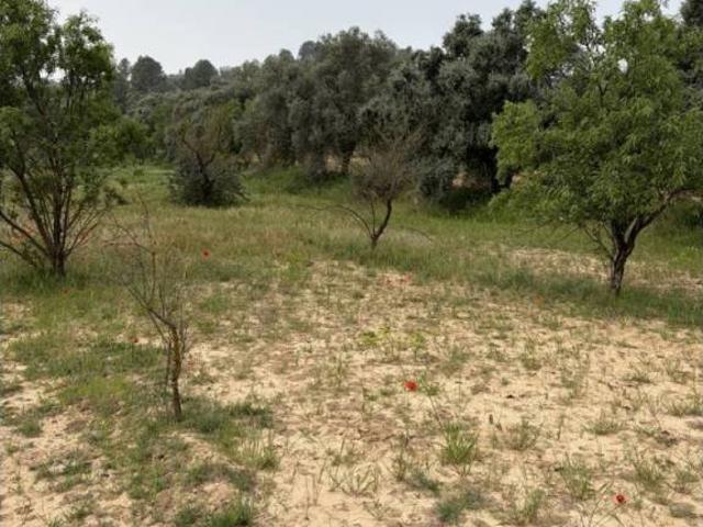 Terreno en venta en Ribera d'Ebre, Catalunya