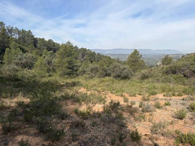 Terreno en venta en Ribera d'Ebre, Catalunya