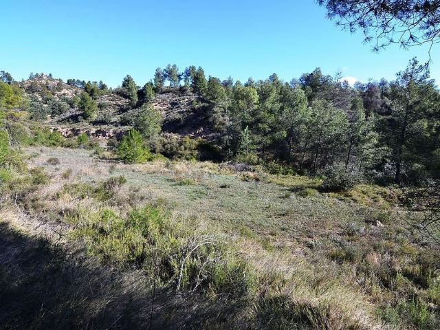 Terreno en venta en Ribera d'Ebre, Catalunya