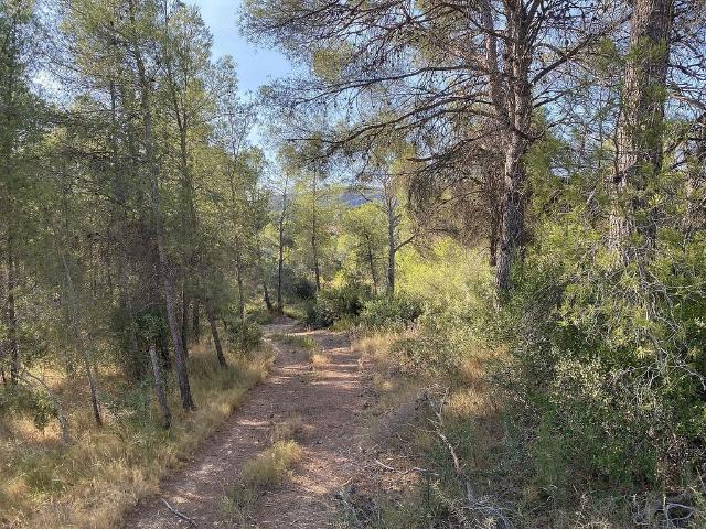 Terreno en venta en Ribera d'Ebre, Catalunya