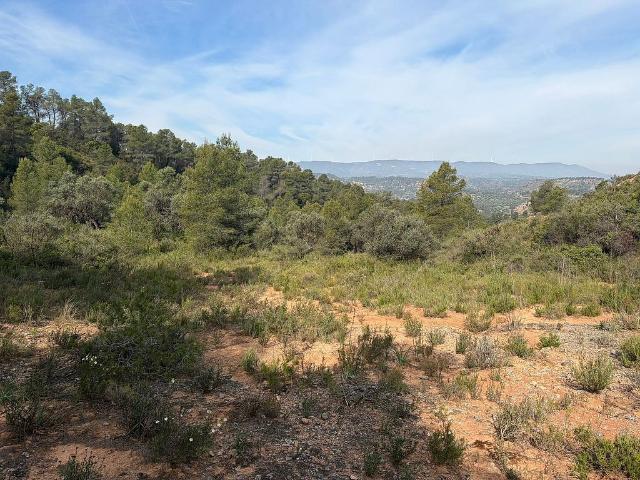 Terreno en venta en Ribera d'Ebre, Catalunya