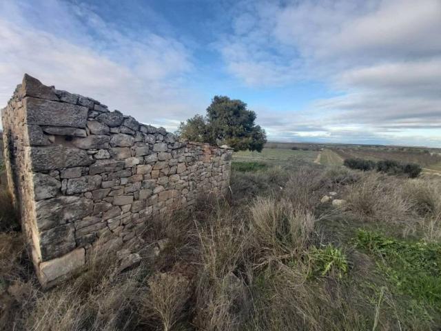 Terreno en venta en Segrià, Catalunya