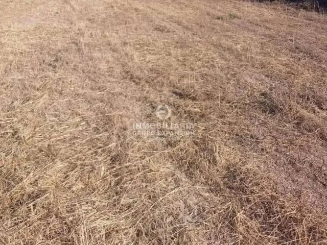 Terreno en venta en el Vinalopó Mitjà / El Vinalopó Medio, Valencia