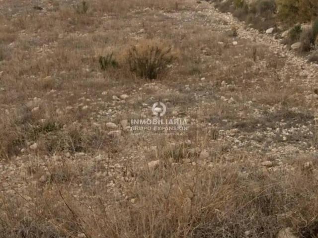 Terreno en venta en el Vinalopó Mitjà / El Vinalopó Medio, Valencia