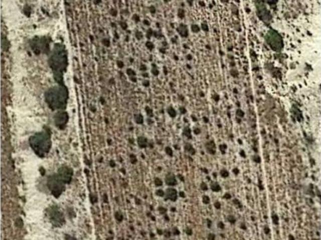 Terreno en venta en el Vinalopó Mitjà / El Vinalopó Medio, Valencia
