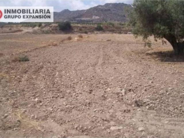 Terreno en venta en el Vinalopó Mitjà / El Vinalopó Medio, Valencia