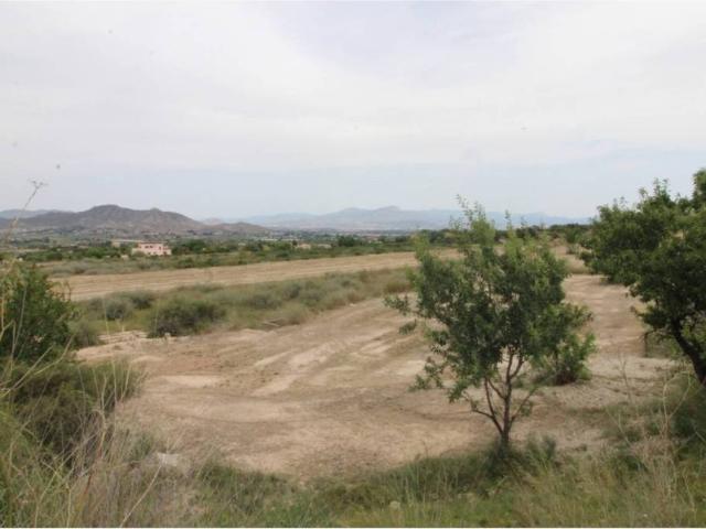 Terreno en venta en el Vinalopó Mitjà / El Vinalopó Medio, Valencia