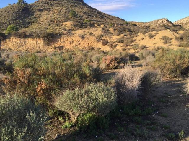 Terreno en venta en el Vinalopó Mitjà / El Vinalopó Medio, Valencia