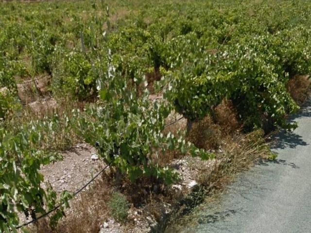 Terreno en venta en el Vinalopó Mitjà / El Vinalopó Medio, Valencia