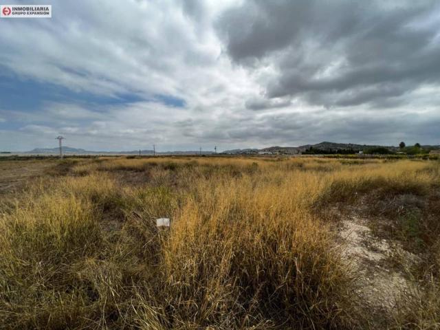 Terreno en venta en el Vinalopó Mitjà / El Vinalopó Medio, Valencia