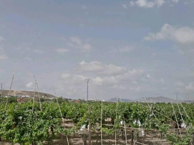 Terreno en venta en el Vinalopó Mitjà / El Vinalopó Medio, Valencia
