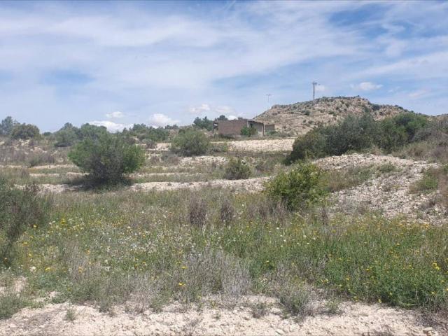 Terreno en venta en Aspe